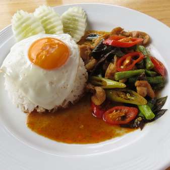 Red Curry with chicken or pork
